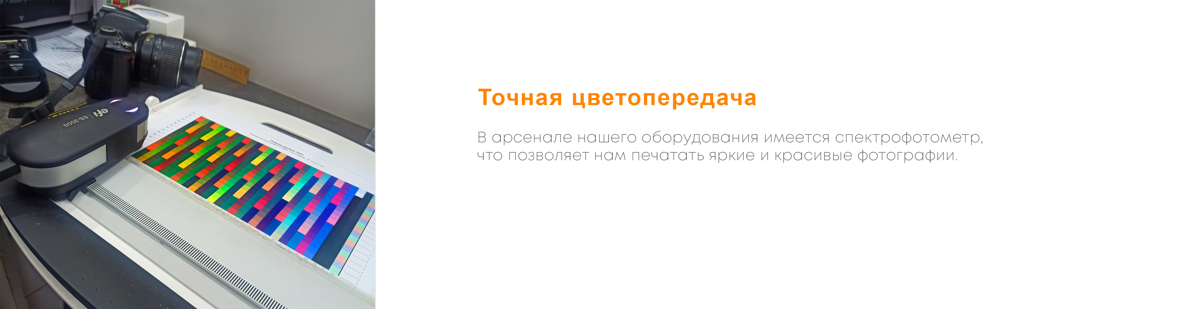 Фотопечать Санкт Петербург (Сертолово, Парголово), распечатать фото ...