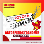 Брелок Госномер